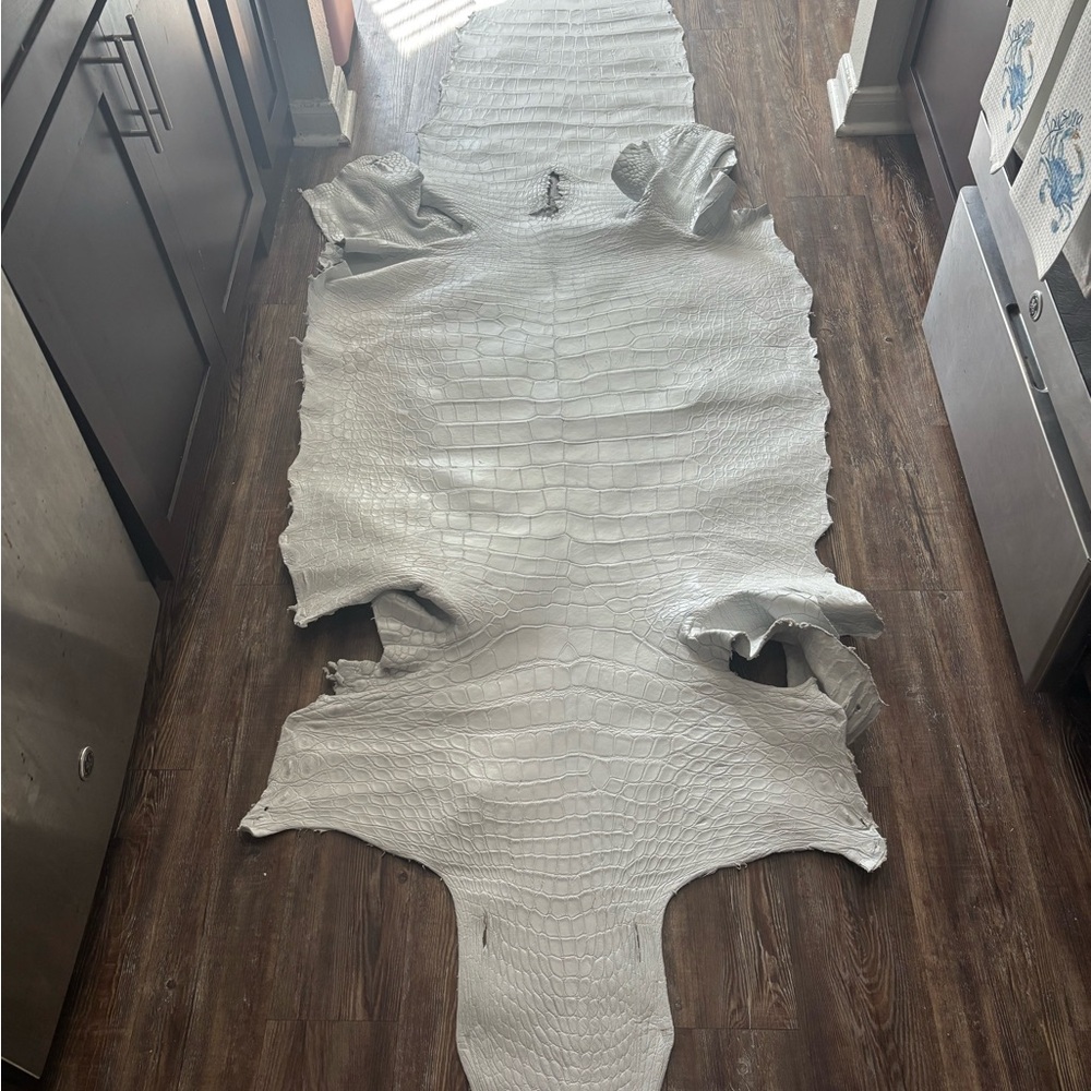 White Alligator Leather Hide